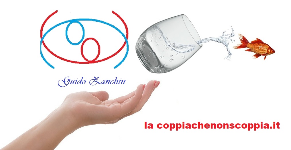 comfort zone 3089646 1280