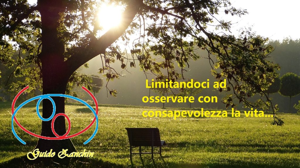 foto, parco, consapevolezza
