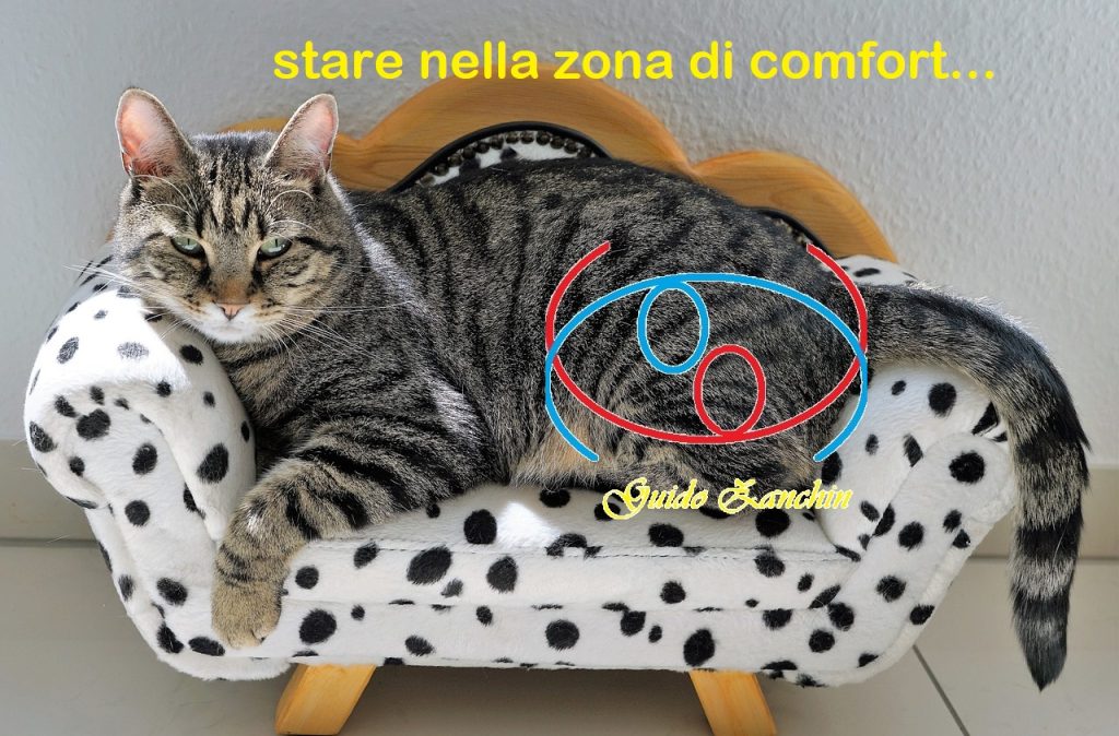 stare nella zona di comfort...